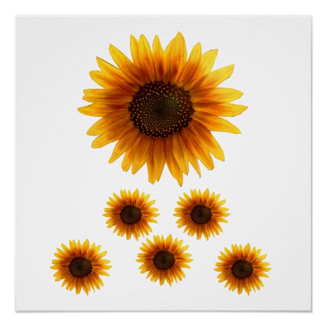 Floral Poster Sunflower (Front)