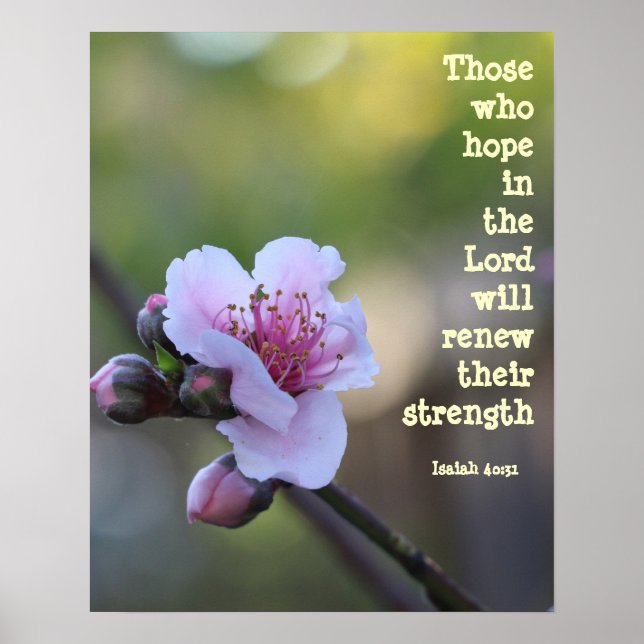 Floral Poster w Verse from Isaiah 40:31 (Front)
