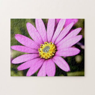 Floral Puzzle