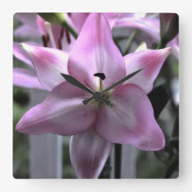 Floral Resilience