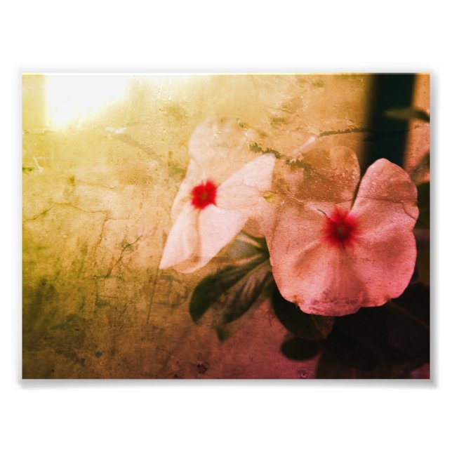 Floral Retro Image  Kodak Professional Photo Print (Front)