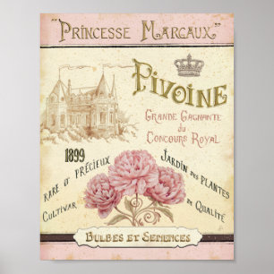 Floral Seed Packet Poster
