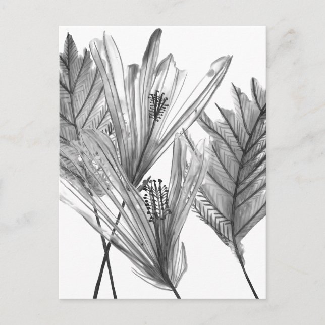 Floral Silhouette - Grey Postcard (Front)