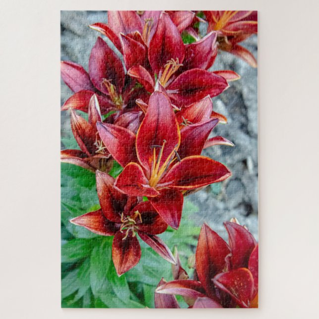 Floral Stargazer Lily, Red Canadian Flower Jigsaw Puzzle (Vertical)