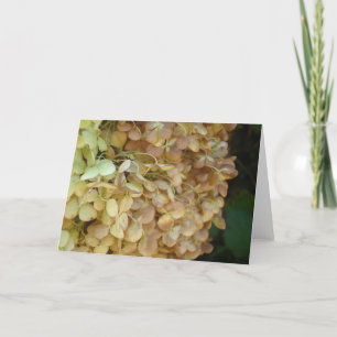 Floral Stationary Set Note Card