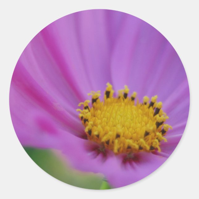 Floral Sticker (Front)