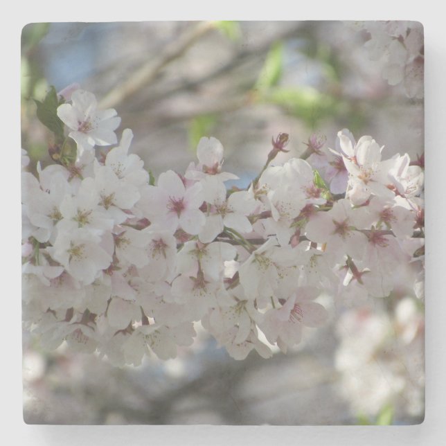Floral  stone coaster (Front)