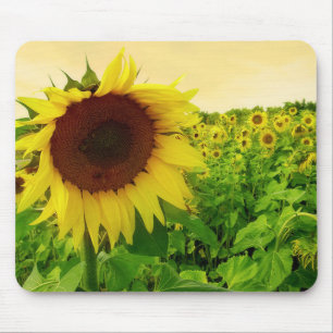 Floral Sunflower Green And Yellow Flower Mouse Pad
