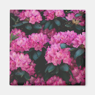 Floral Surface Pattern-Fashion Decorative abstract Magnet
