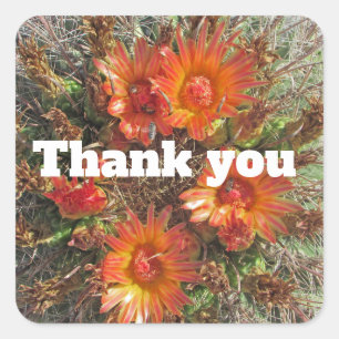 Floral Thank You Bright Orange Cactus Flowers Square Sticker