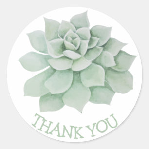 Floral Thank You Green Succulent Cactus Classic Round Sticker