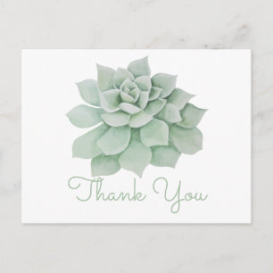 Floral Thank You Mint Green Succulent Cactus Postcard