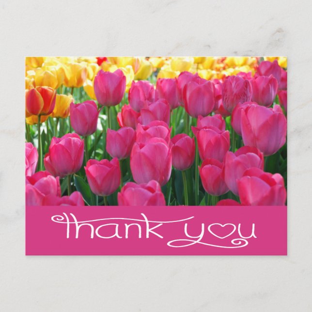 Floral Thank You Pink And Yellow Tulips Flower Postcard (Front)