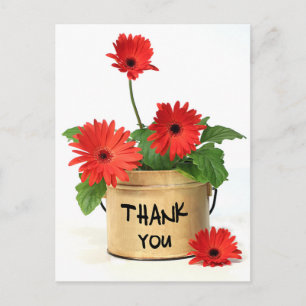 Floral Thank You Red Gerbera Daisy Flower Postcard