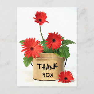 Floral Thank You Red Gerbera Daisy Flowers Postcard