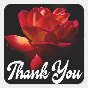 Floral Thank You Red Rose Flower Black Wedding Square Sticker