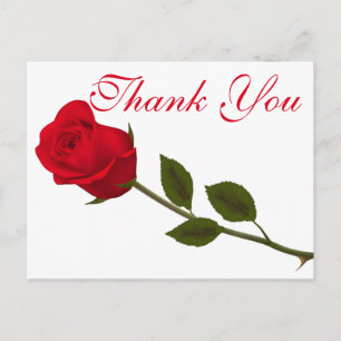 Floral Thank You Red Rose Flower Postcard