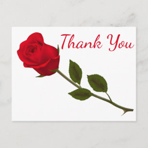 Floral Thank You Red Rose Flower Postcard