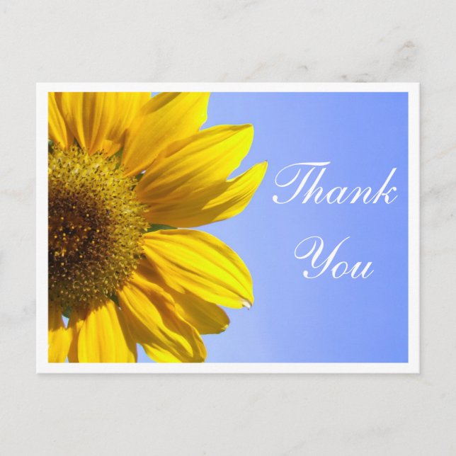 Floral Thank You Sunflower Yellow Flower Postcard (Front)