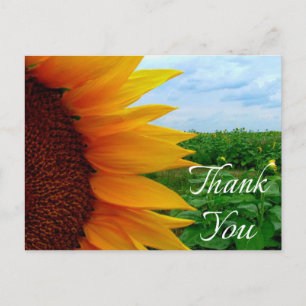 Floral Thank You Sunflower Yellow Flowers Green Postcard