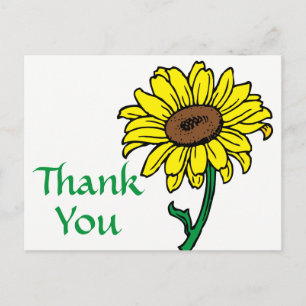 Floral Thank You Sunflower Yellow & Green Flowers Postcard