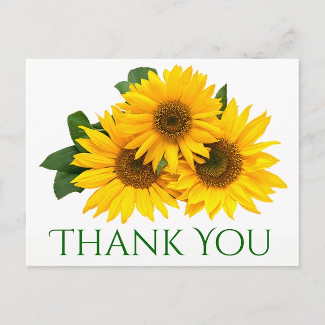 Floral Thank You Sunflower Yellow & Green Flowers Postcard (Front)