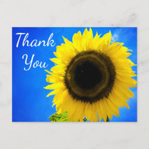Floral Thank You Yellow Flower - Sunflower Postcard
