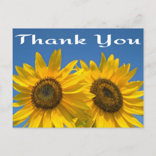 Floral Thank You Yellow Sunflower & Blue Sky Postcard