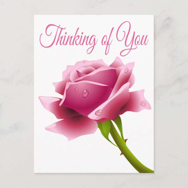 Floral Thinking of You Pink Rose Flower Postcard (Front)