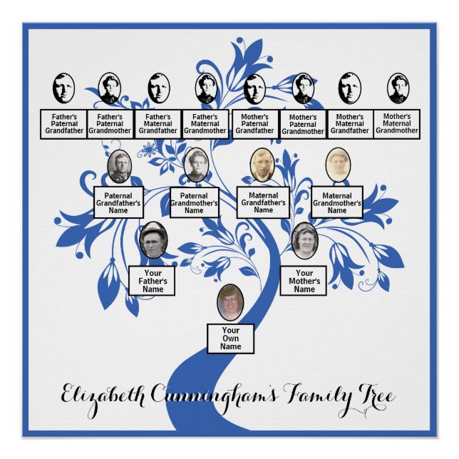Floral Tree Blue Silhouette Family Tree Photos  Poster (Front)