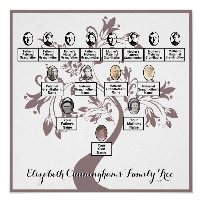 Floral Tree Plum Silhouette Family Tree Photos  Poster (Front)