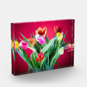Floral tulip spring photo red and green block