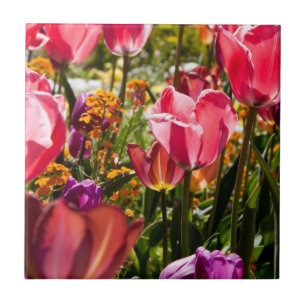 Floral tulips ceramic tile