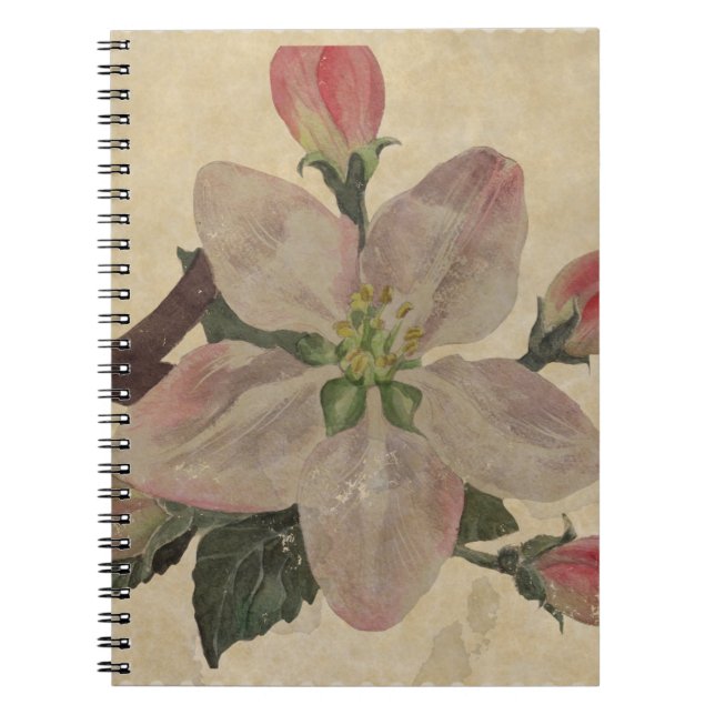Floral:Vintage Notebook (Front)