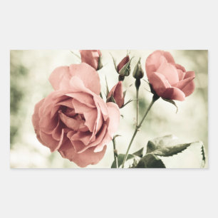 Floral Vintage Pink Rose Flowers - Wedding Party Rectangular Sticker