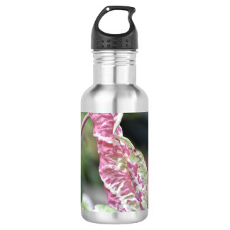 Floral Water Bottle
