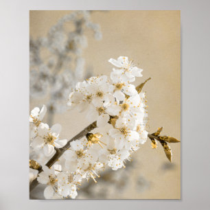 Floral Whispers Tapestry Unfolds Cherry Blossoms Poster