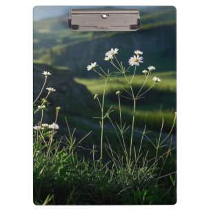 Floral White Daisy Nature Landscape Clipboard
