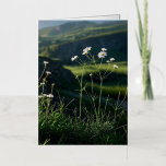 Floral White Daisy Nature Landscape  Foil Greeting Card<br><div class="desc">Floral White Daisy Nature Landscape At MotherEagle Inspires, we blend the soul-stirring power of poetry with beautifully crafted everyday items to create gifts that inspire, comfort, and elevate your space. Each product—from mugs and apparel to home décor and stationery—features original poems designed to resonate with your heart and spark joy in...</div>