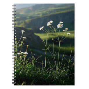 Floral White Daisy Nature Landscape Notebook
