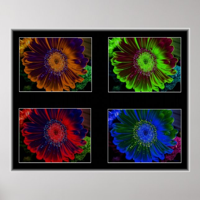 Floral Windows Poster (Front)