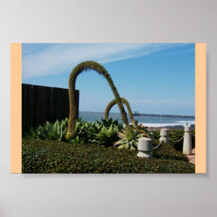 Floral Wonders Poster