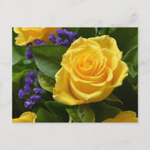 Floral Yellow Rose & Purple Flowers Hello Love Postcard