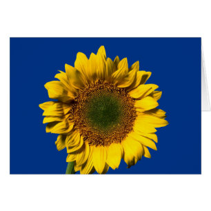 Floral Yellow Sunflower Flower - Thank You , Hello