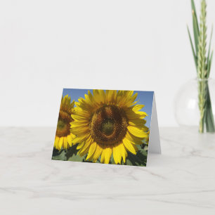 Floral Yellow Sunflower Flower - Thank You , Hello Card