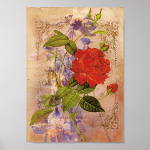 Florals Vintage Digital Collage Poster