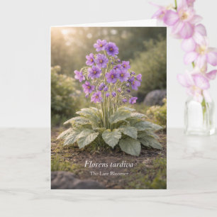 Florens tardiva The Late Bloomer Botanical Card