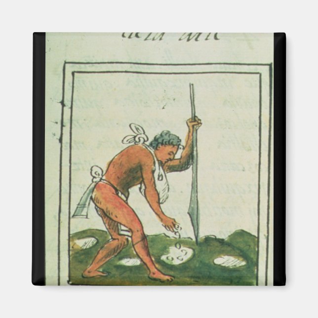 Florentine Codex' by Bernardino de Sahagun Magnet (Front)