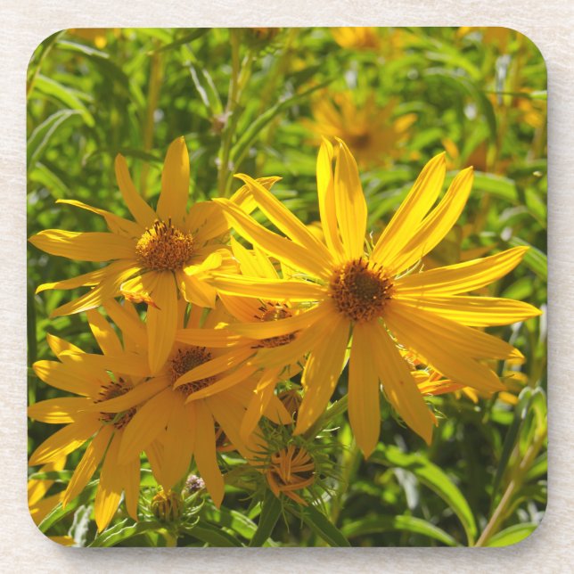 Flores en mi hierbas " flowers in my weeds " coaster (Front)