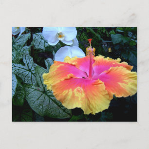 flores. postcard